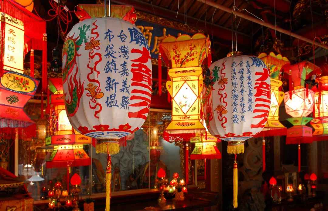 以蛇行千里的劲头，打开改革发展新天地——习近平总书记在二〇二五年春节团拜会上的讲话凝聚信心激励奋进