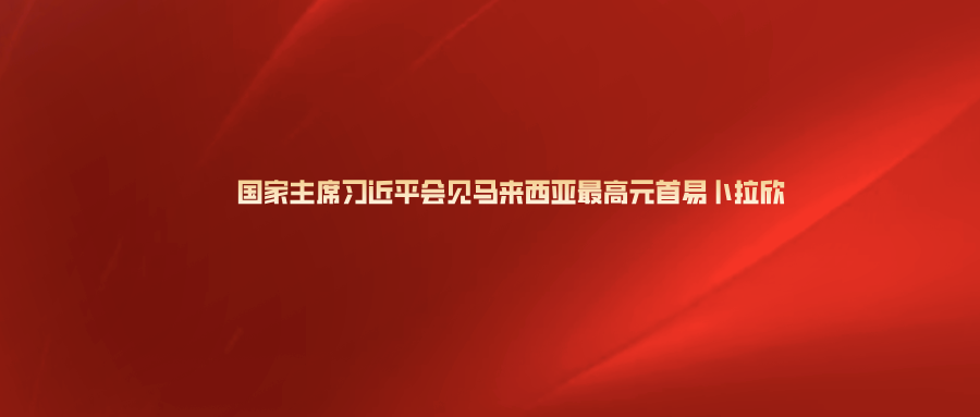 新华社快讯：国家主席习近平会见马来西亚最高元首易卜拉欣