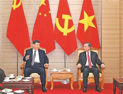 习近平同越共中央总书记苏林话别