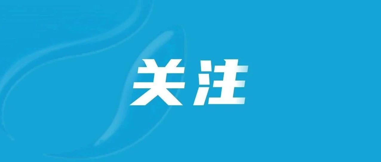 泉港区政府主要领导调研乡村振兴工作