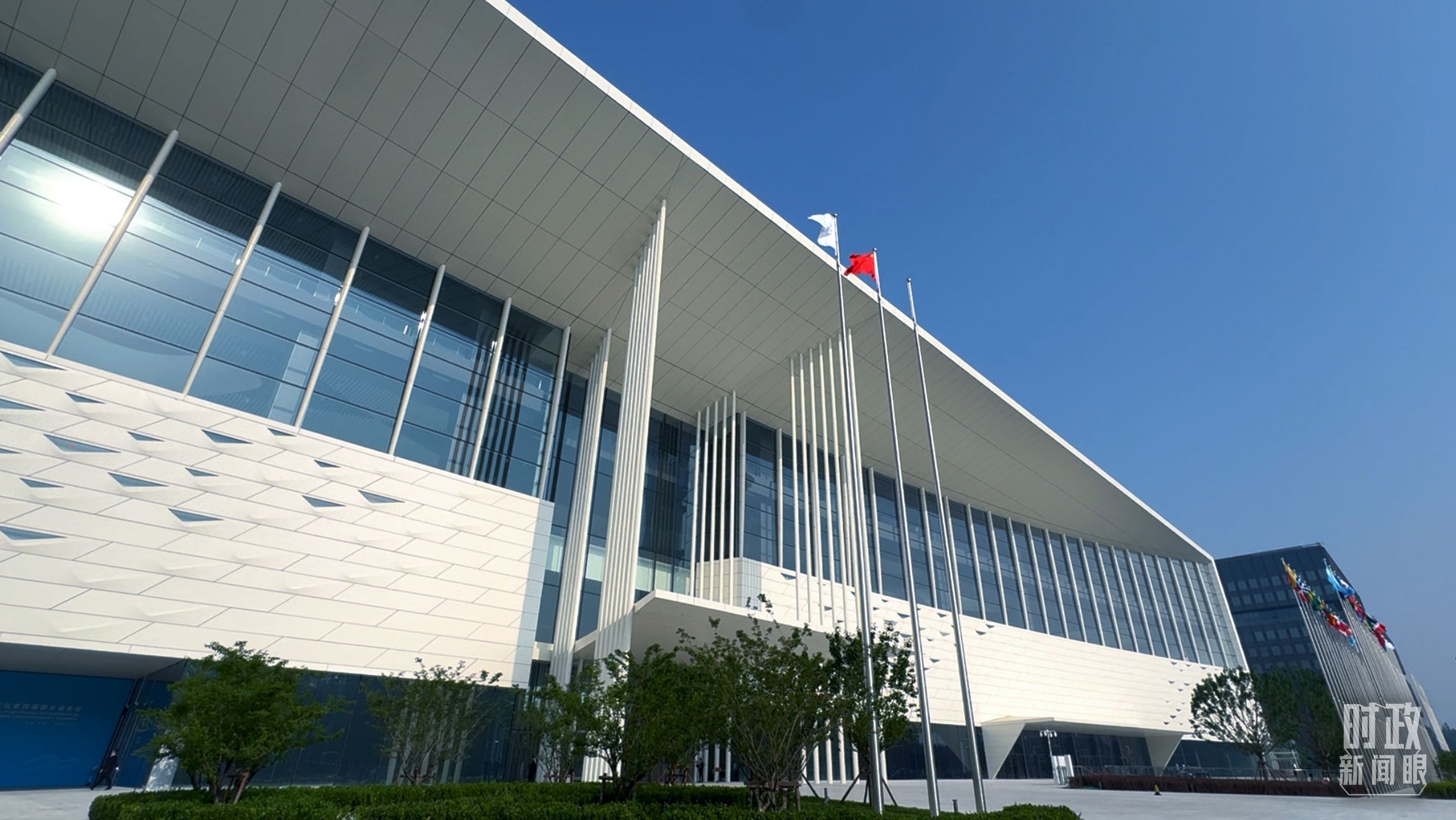 独家视频丨习近平：中拉论坛已经从一棵稚嫩幼苗长成挺拔大树