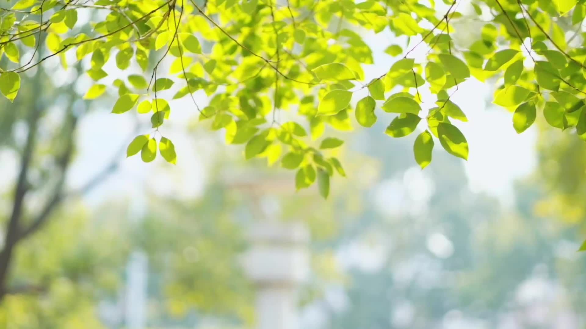 学习·故事丨一份格外的关爱