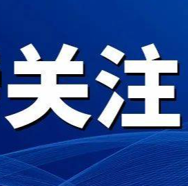 习近平同德国总理默茨通电话