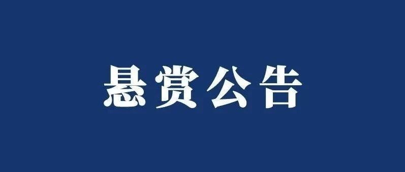 有线索，请举报！泉港法院发布执行悬赏公告