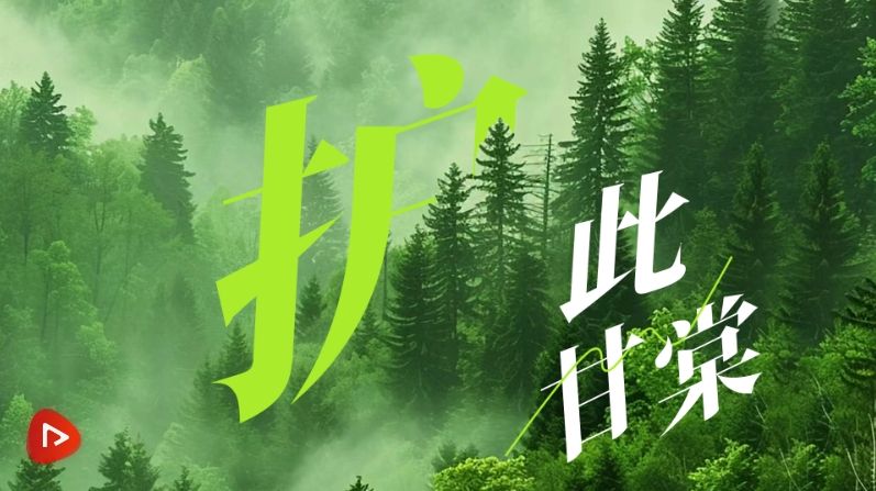 美丽中国我先行｜护此甘棠