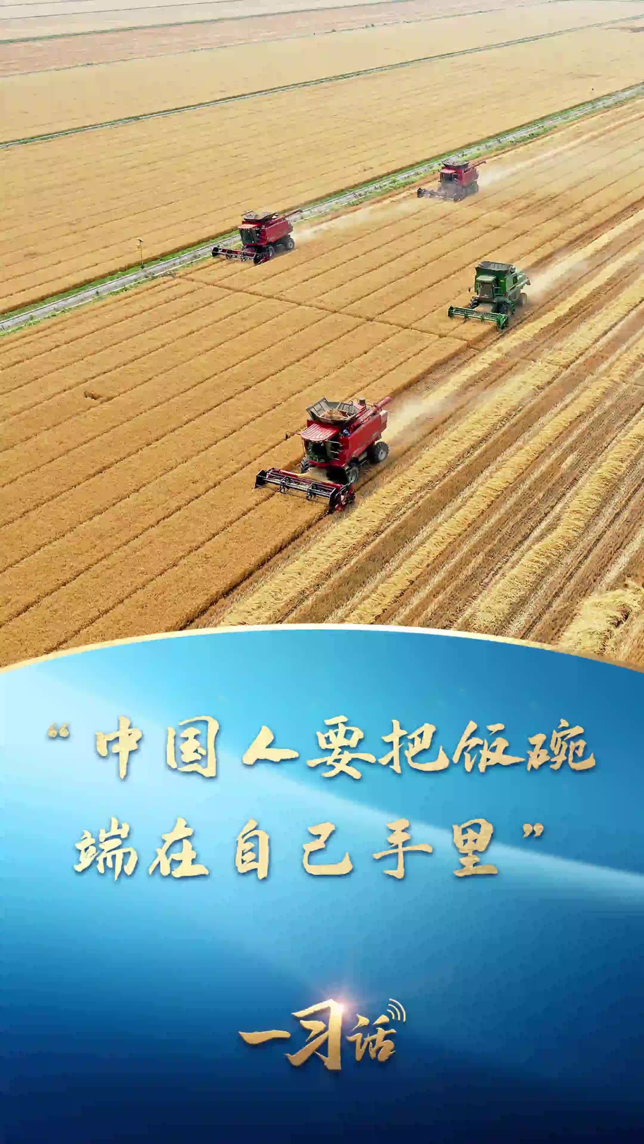 一习话｜“中国人要把饭碗端在自己手里”