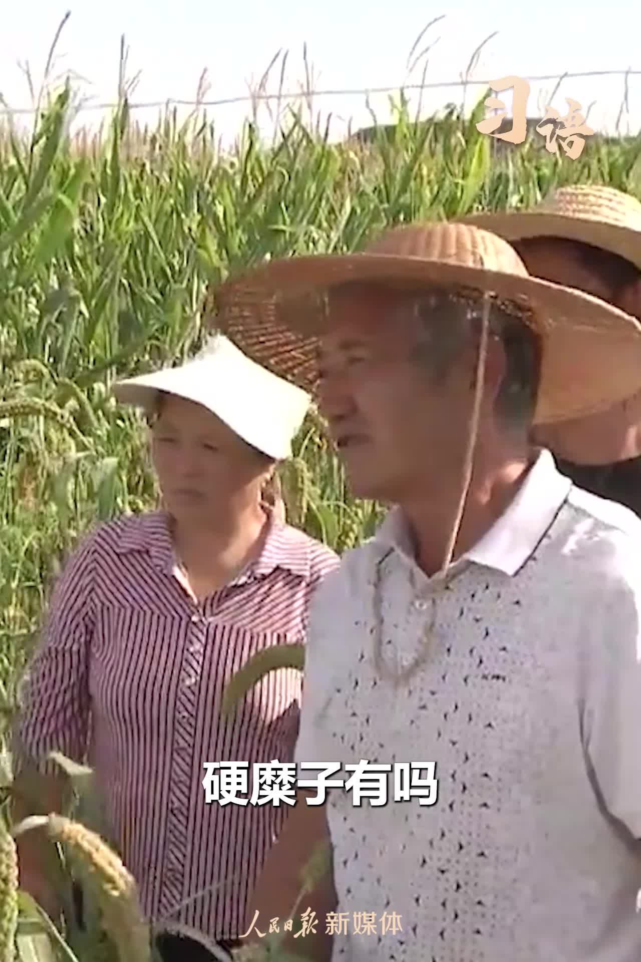 习语丨“中国人要把饭碗端在自己手里”