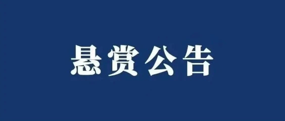 泉港法院发布执行悬赏公告