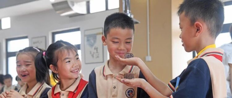 小手捏出团圆味！泉港学子DIY月饼迎中秋→