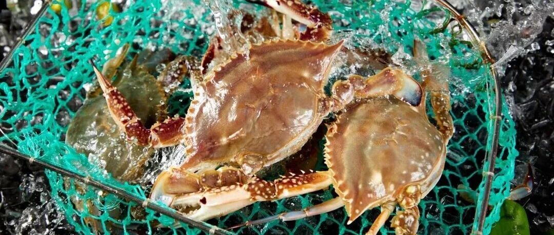 刚死不久的螃蟹，还能吃吗？