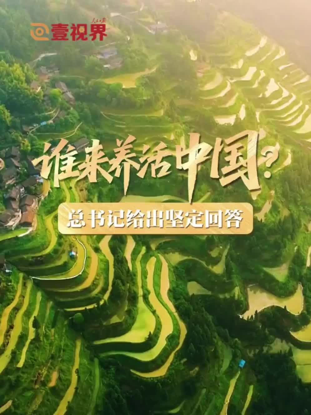 壹视界·微视频｜谁来养活中国？总书记给出坚定回答