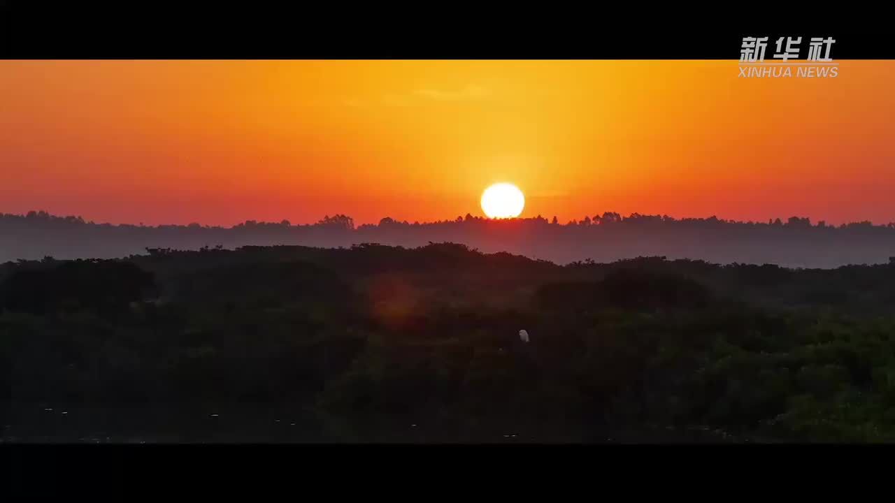 微视频：守护“地球之肾”