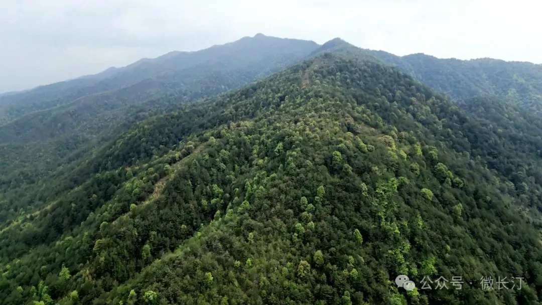 长汀县松毛岭旅游景点图片