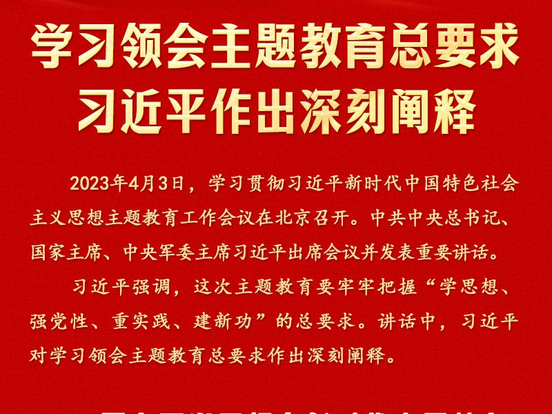 时习之  学习领会主题教育总要求 习近平作出深刻阐释