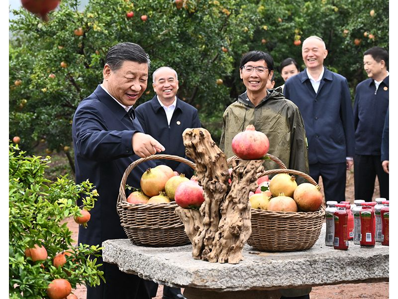 天天学习｜中南海2023年刊·民生篇