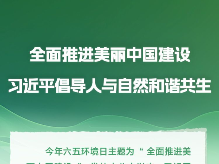 时习之丨全面推进美丽中国建设 习近平倡导人与自然和谐共生