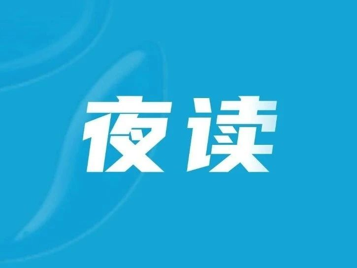 最舒服的关系，不需要讨好，不需要迁就