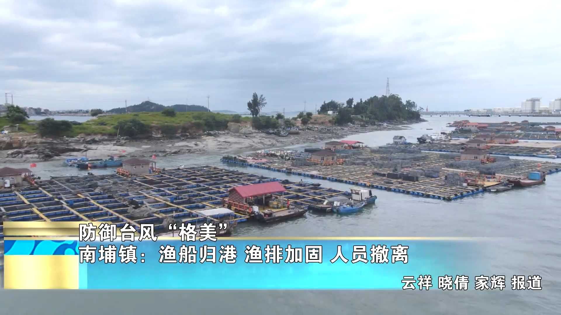 【防御台风“格美”】南埔镇：渔船归港 渔排加固 人员撤离