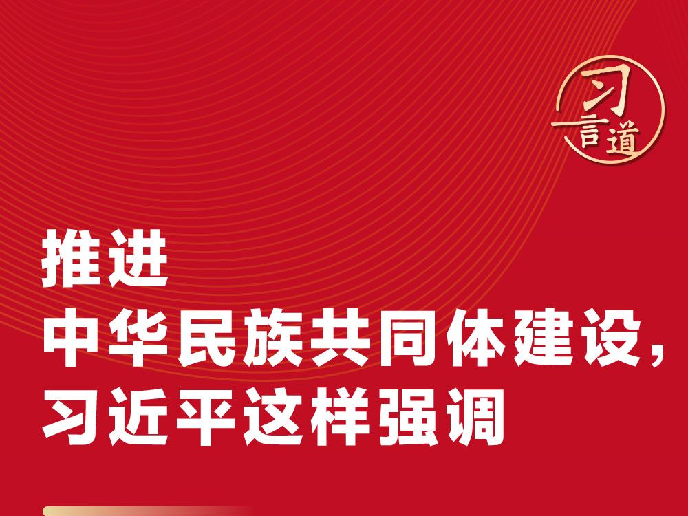 习言道｜推进中华民族共同体建设，习近平这样强调