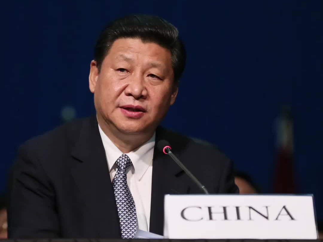 学习·知行丨共绘发展同心圆 习近平助力金砖合作行稳致远