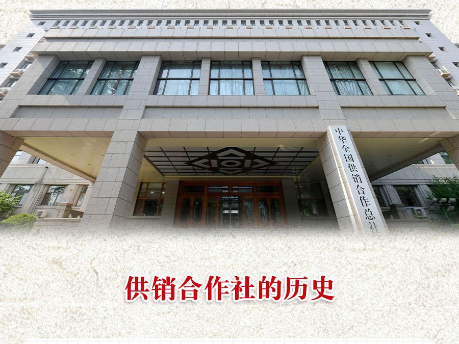 学习进行时·快来学习｜习近平总书记高度重视办好供销合作社