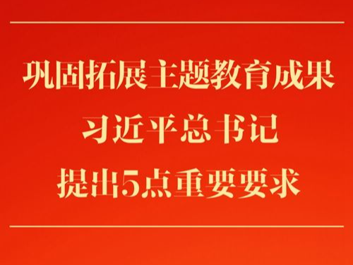 第一观察 | 巩固拓展主题教育成果，习近平总书记提出5点重要要求