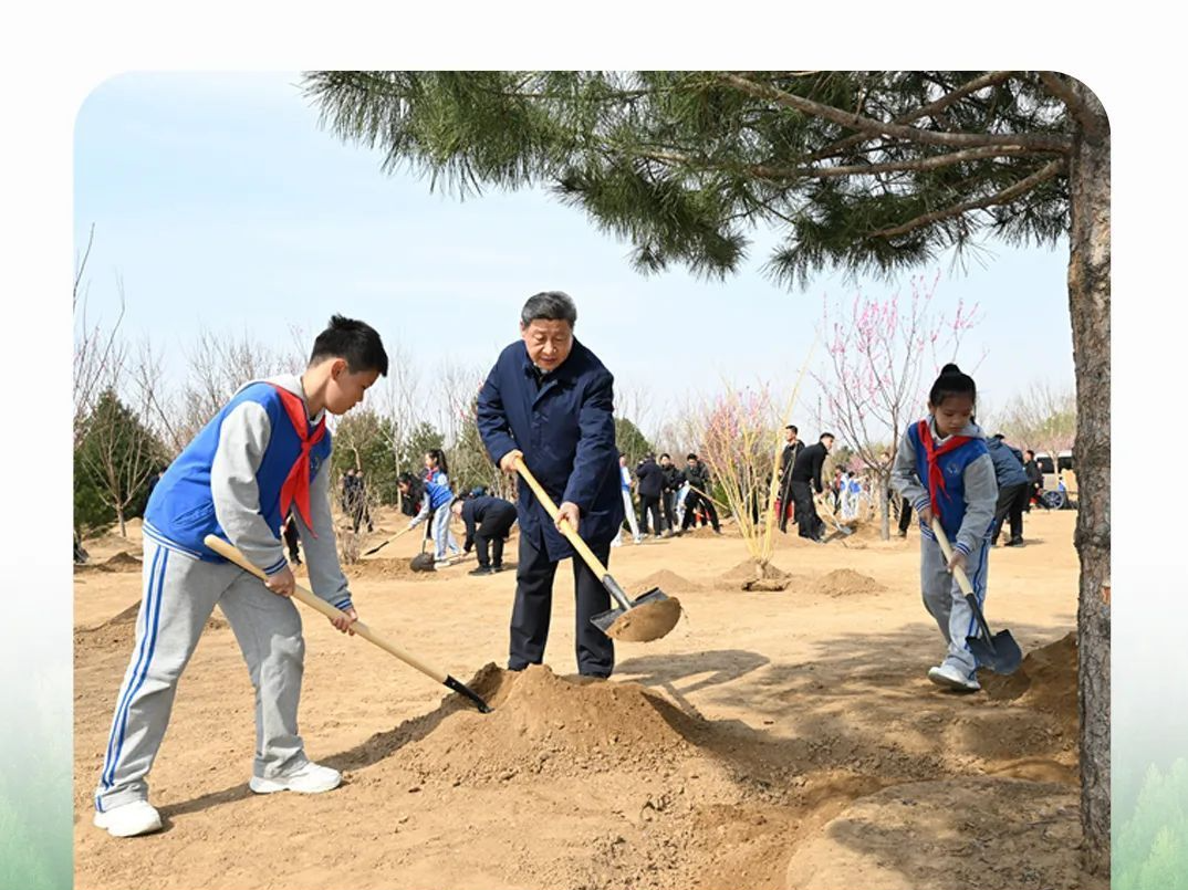 近观“两山”丨写好绿色答卷，总书记强调三个“更加注重”