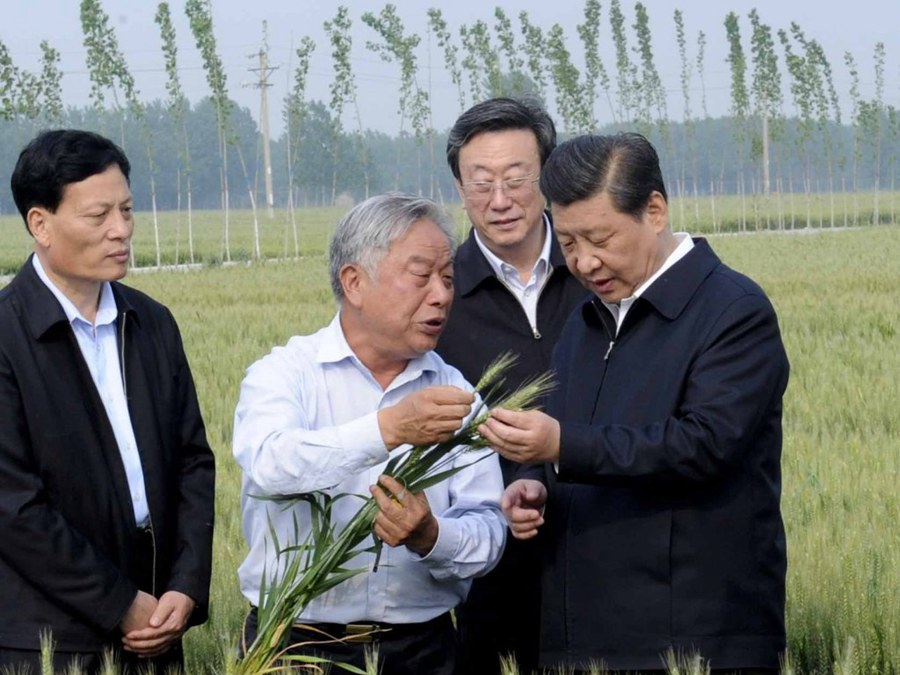 学习进行时｜是贡献，也是奉献——习近平总书记和河南的故事