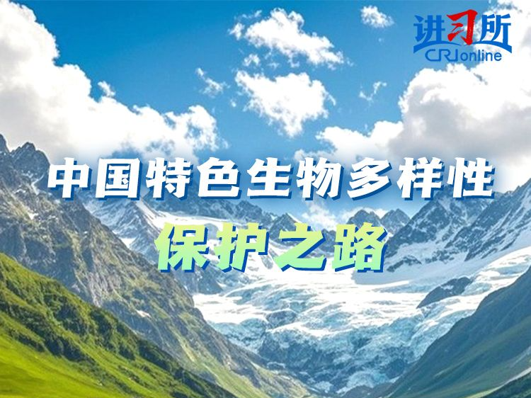 【讲习所·中国与世界】习近平：共建地球生命共同体