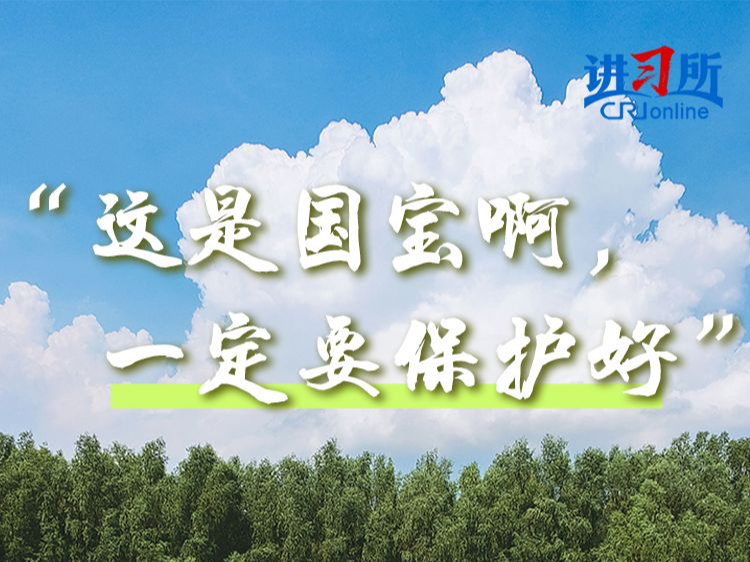 【讲习所·中国与世界】“人不负青山，青山定不负人”