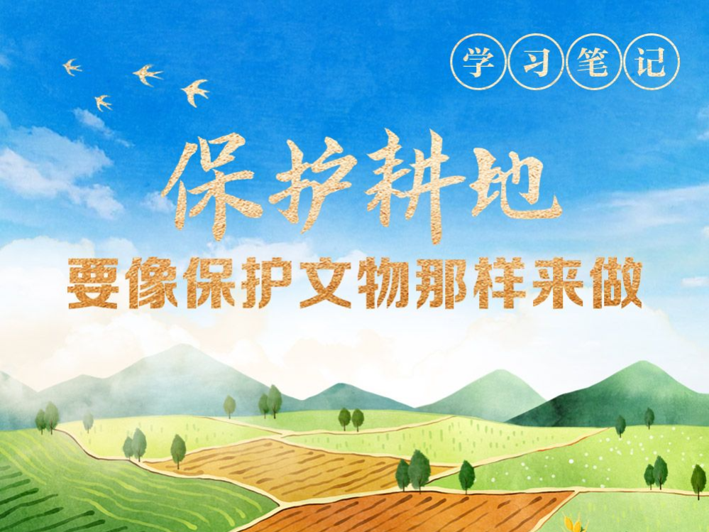 天天学习｜保护耕地要像保护文物那样来做
