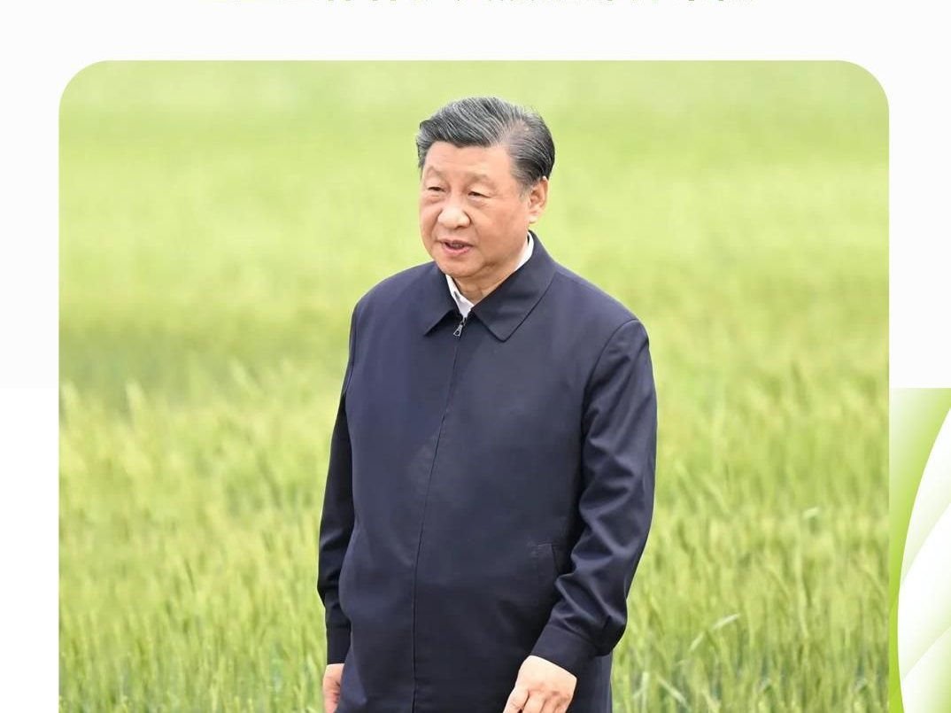 时政微观察丨牢牢守住耕地保护红线，总书记念兹在兹