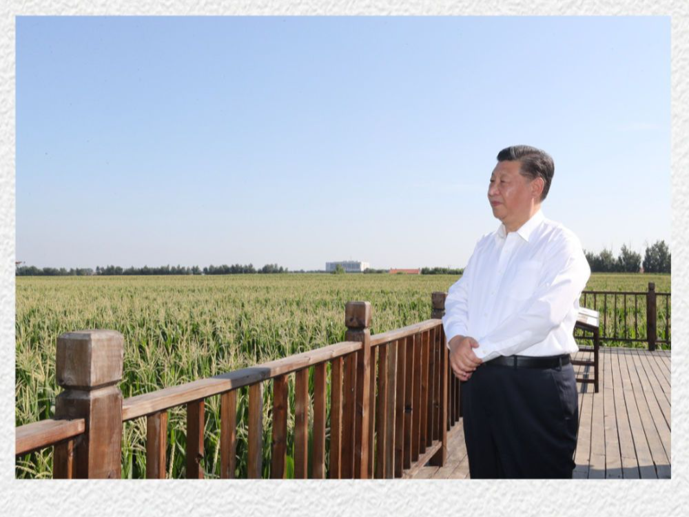 镜观·回响｜像保护大熊猫一样保护黑土地