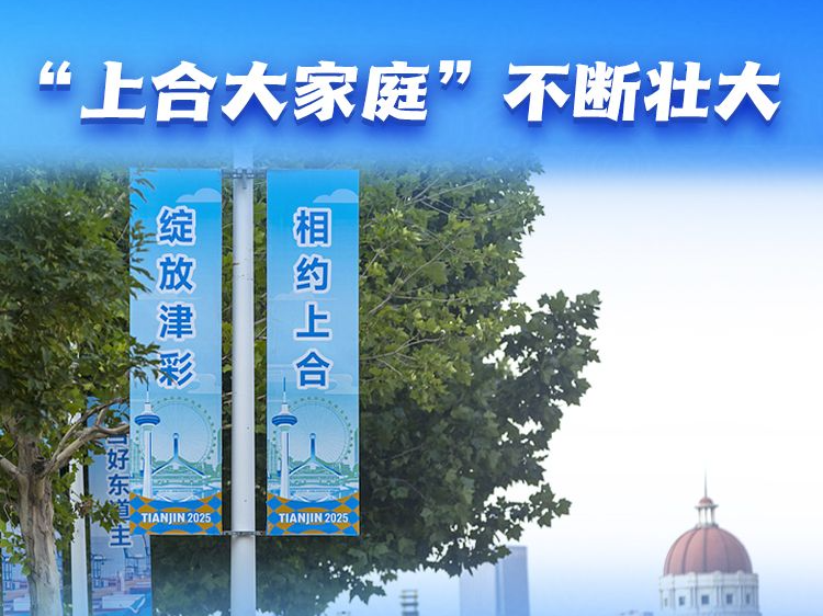 【讲习所·众行致远】“上海精神”照亮上合壮大之路