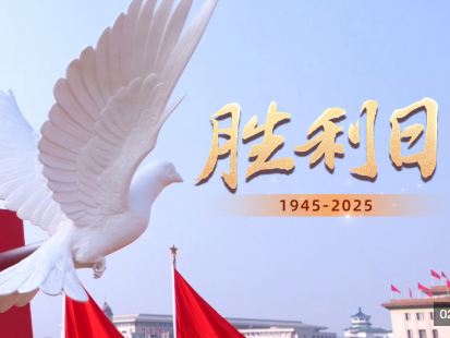 微视频丨胜利日