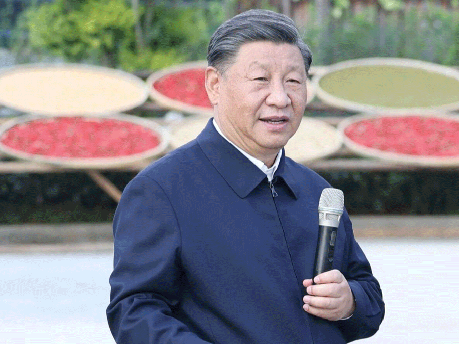 时政微观察丨丰收时节感悟总书记的“三农”情怀