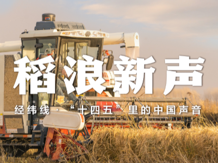 经纬线·稻浪新声