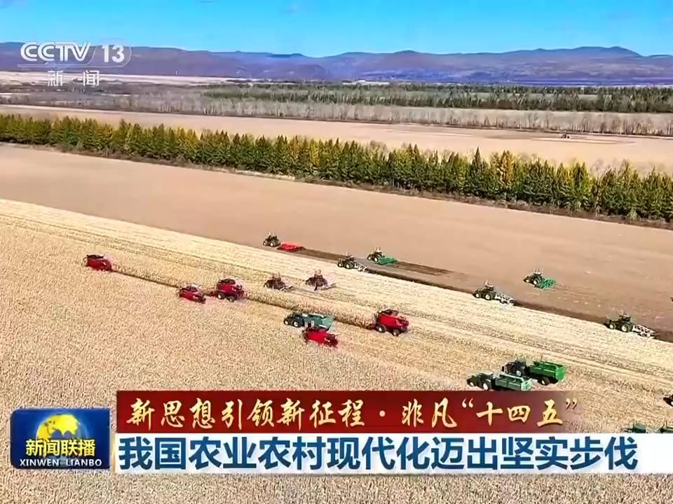 【新思想引领新征程·非凡“十四五”】我国农业农村现代化迈出坚实步伐